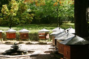 le-miel-du-jardin-du-luxembourg